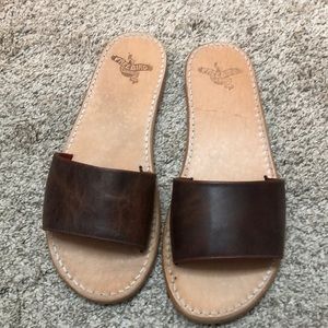 Freebird by Steven Golden slides